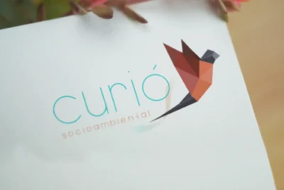 Curio mockup2