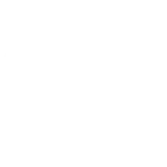 Wordpress Icon